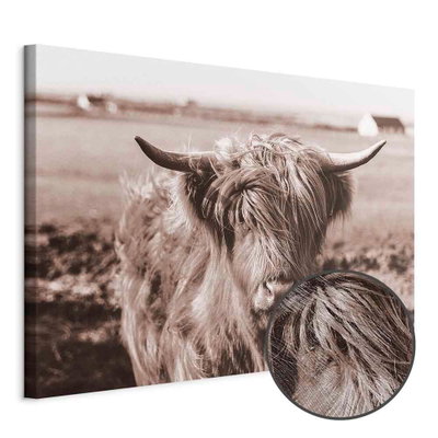 Schuin productaanzicht van A scottish cow in sepia. Het motief loopt door over de randen van het canvas. Een ronde detailopname toont het reliëf van het geloppervlak.