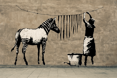 Vooraanzicht van Banksy washing zebra on. De volledige gedrukte compositie is te zien zonder het schuine productaanzicht of de detailopname van het geloppervlak.