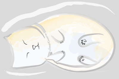 Vooraanzicht van Sleepy kitty. De volledige gedrukte compositie is te zien zonder het schuine productaanzicht of de detailopname van het geloppervlak.