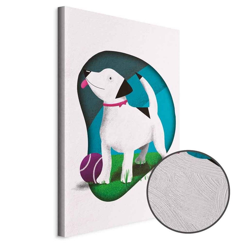 Produktvy av Dog and ball. En rund detaljförstoring visar den strukturerade gelytan.