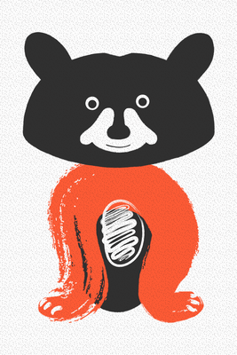 Vooraanzicht van Nice mr raccoon. De volledige gedrukte compositie is te zien zonder het schuine productaanzicht of de detailopname van het geloppervlak.