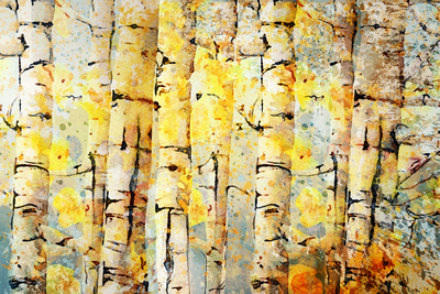 Vooraanzicht van Summer colors of the forest. De volledige gedrukte compositie is te zien zonder het schuine productaanzicht of de detailopname van het geloppervlak.