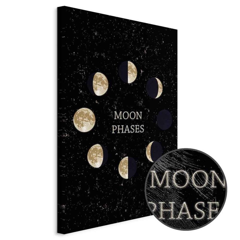 Produktvy av Lunar cycle. En rund detaljförstoring visar den strukturerade gelytan.