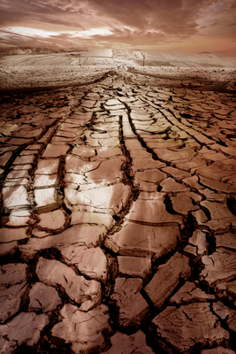 Vooraanzicht van Drought. De volledige gedrukte compositie is te zien zonder het schuine productaanzicht of de detailopname van het geloppervlak.