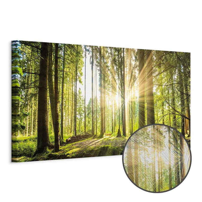 Produktvy av Daylight. En rund detaljförstoring visar den strukturerade gelytan.