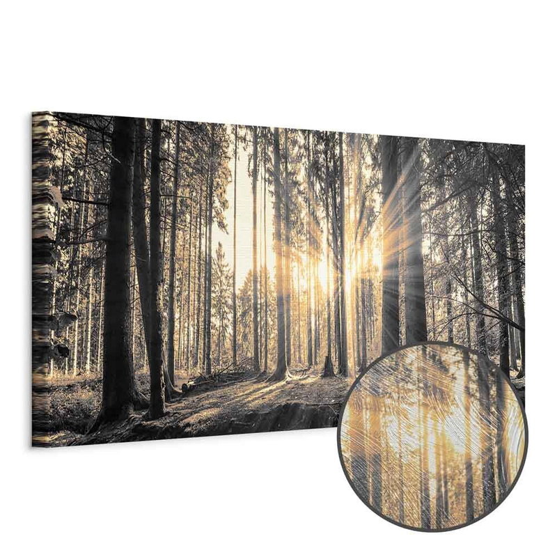 Produktvy av Forest sun. En rund detaljförstoring visar den strukturerade gelytan.