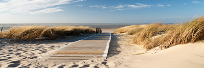 Vooraanzicht van Wild beach. De volledige gedrukte compositie is te zien zonder het schuine productaanzicht of de detailopname van het geloppervlak.