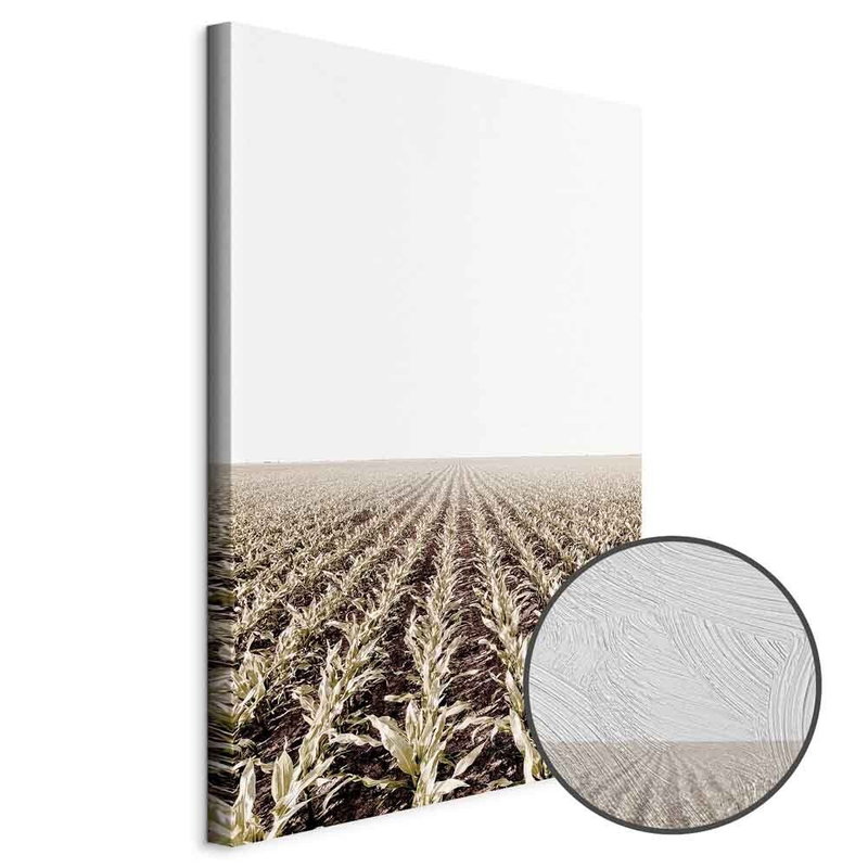 Produktvy av Corn field. En rund detaljförstoring visar den strukturerade gelytan.