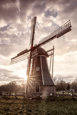 Vooraanzicht van Wind of memories. De volledige gedrukte compositie is te zien zonder het schuine productaanzicht of de detailopname van het geloppervlak.