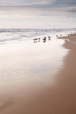Vooraanzicht van Autumn beach. De volledige gedrukte compositie is te zien zonder het schuine productaanzicht of de detailopname van het geloppervlak.