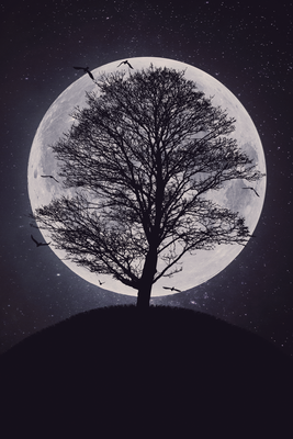 Vooraanzicht van Lone tree. De volledige gedrukte compositie is te zien zonder het schuine productaanzicht of de detailopname van het geloppervlak.