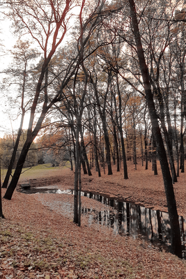 Vooraanzicht van Autumn walk. De volledige gedrukte compositie is te zien zonder het schuine productaanzicht of de detailopname van het geloppervlak.