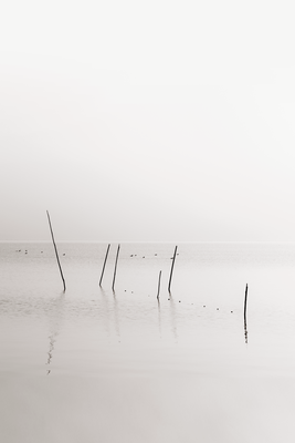 Vooraanzicht van Misty trail. De volledige gedrukte compositie is te zien zonder het schuine productaanzicht of de detailopname van het geloppervlak.