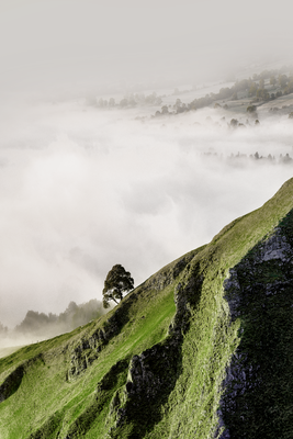 Vooraanzicht van Tree above clouds. De volledige gedrukte compositie is te zien zonder het schuine productaanzicht of de detailopname van het geloppervlak.
