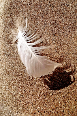 Vooraanzicht van Feather on the sand. De volledige gedrukte compositie is te zien zonder het schuine productaanzicht of de detailopname van het geloppervlak.