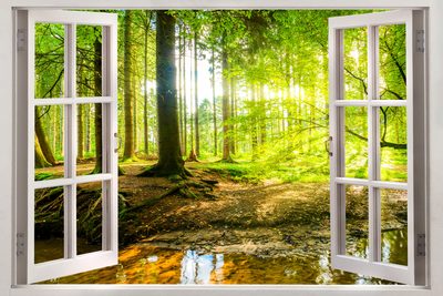 Vooraanzicht van Window view on forest. De volledige gedrukte compositie is te zien zonder het schuine productaanzicht of de detailopname van het geloppervlak.