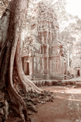 Vooraanzicht van Ruins of angkor. De volledige gedrukte compositie is te zien zonder het schuine productaanzicht of de detailopname van het geloppervlak.