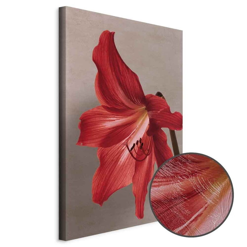 Produktvy av Red flower. En rund detaljförstoring visar den strukturerade gelytan.