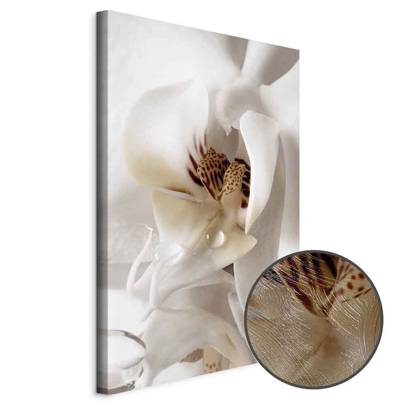 Produktvy av Drop of dreams. En rund detaljförstoring visar den strukturerade gelytan.