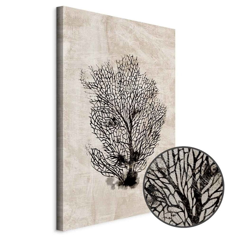 Produktvy av Sea fan. En rund detaljförstoring visar den strukturerade gelytan.