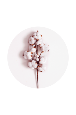 Vooraanzicht van Soft cotton. De volledige gedrukte compositie is te zien zonder het schuine productaanzicht of de detailopname van het geloppervlak.