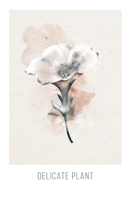Vooraanzicht van Delicate plant. De volledige gedrukte compositie is te zien zonder het schuine productaanzicht of de detailopname van het geloppervlak.