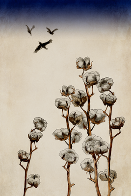 Vooraanzicht van Cotton branches. De volledige gedrukte compositie is te zien zonder het schuine productaanzicht of de detailopname van het geloppervlak.