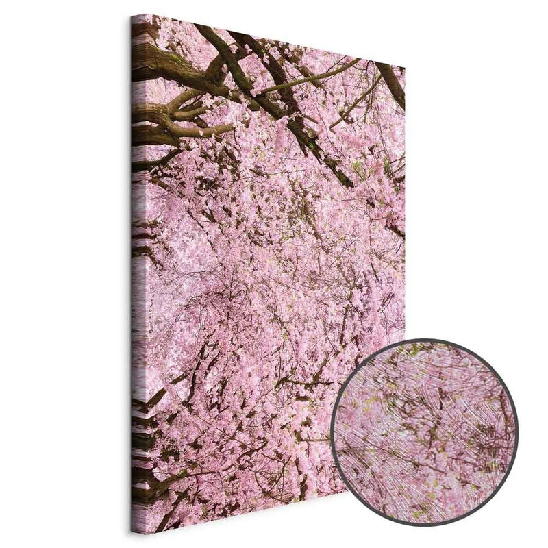 Produktvy av Cherry tree. En rund detaljförstoring visar den strukturerade gelytan.