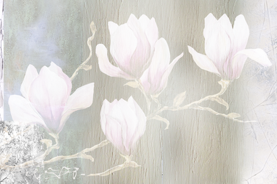 Vooraanzicht van White magnolias wide. De volledige gedrukte compositie is te zien zonder het schuine productaanzicht of de detailopname van het geloppervlak.