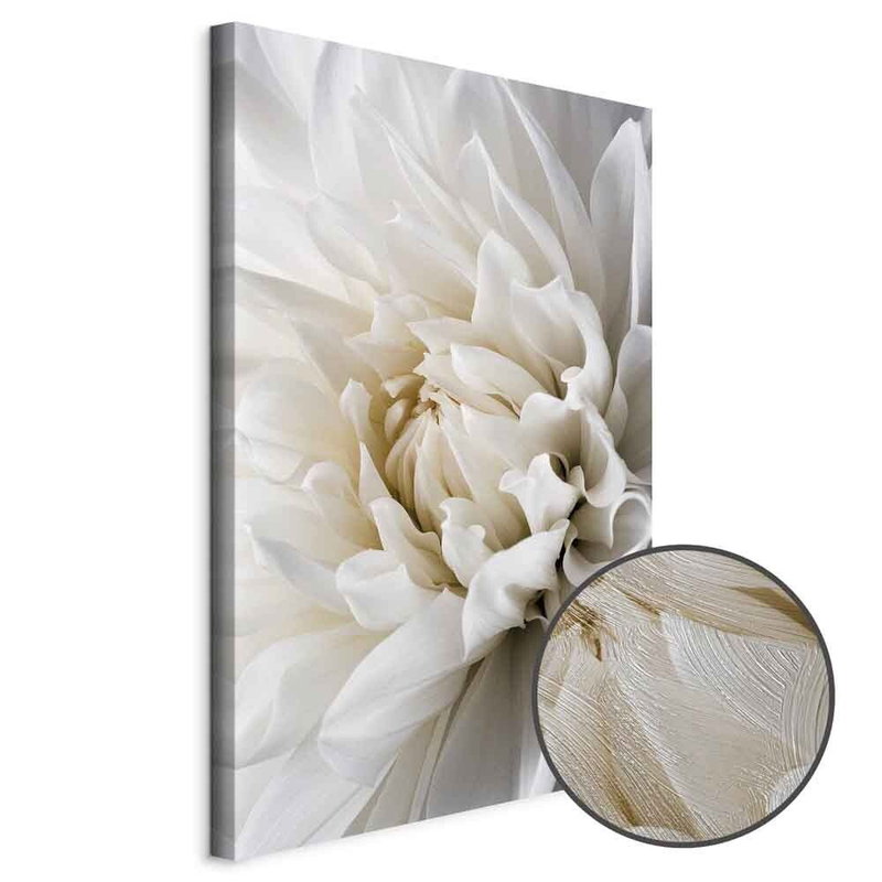 Produktvy av White dahlia. En rund detaljförstoring visar den strukturerade gelytan.