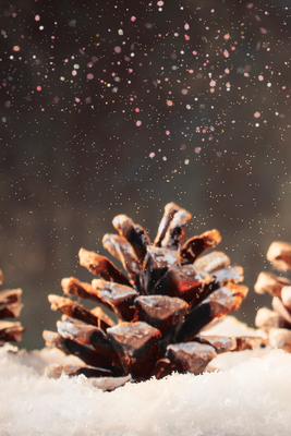 Vooraanzicht van Winter pine cone. De volledige gedrukte compositie is te zien zonder het schuine productaanzicht of de detailopname van het geloppervlak.