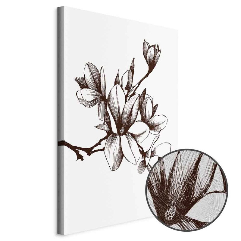 Produktvy av Renaissance magnolias. En rund detaljförstoring visar den strukturerade gelytan.