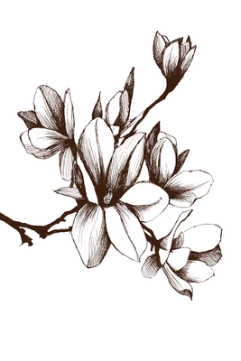 Vooraanzicht van Renaissance magnolias. De volledige gedrukte compositie is te zien zonder het schuine productaanzicht of de detailopname van het geloppervlak.