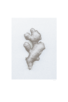 Vooraanzicht van Ginger. De volledige gedrukte compositie is te zien zonder het schuine productaanzicht of de detailopname van het geloppervlak.