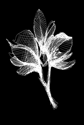 Vooraanzicht van Night flower. De volledige gedrukte compositie is te zien zonder het schuine productaanzicht of de detailopname van het geloppervlak.