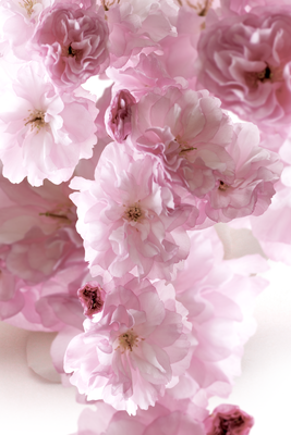 Vooraanzicht van Flowery glamour - flower. De volledige gedrukte compositie is te zien zonder het schuine productaanzicht of de detailopname van het geloppervlak.