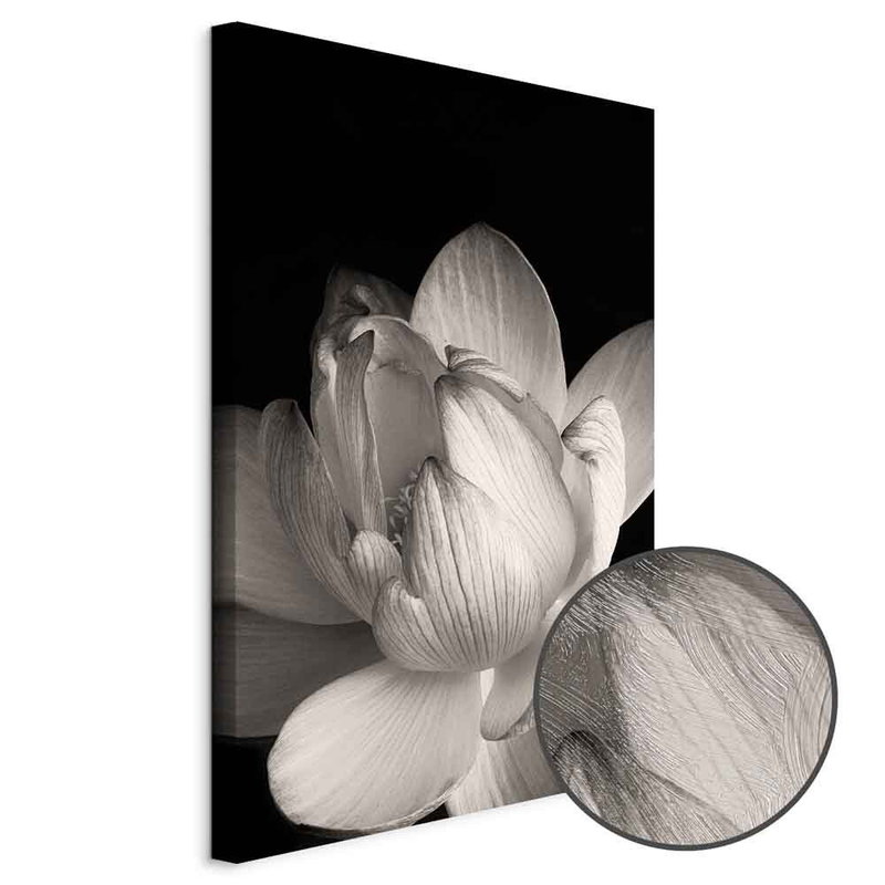Produktvy av Delicacy of petals in nature. En rund detaljförstoring visar den strukturerade gelytan.