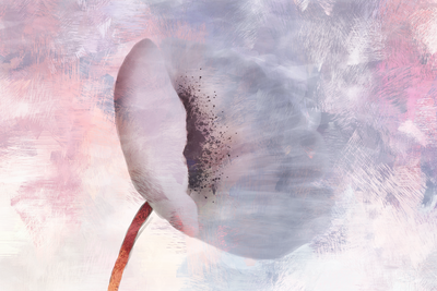 Vooraanzicht van Windy flower wide. De volledige gedrukte compositie is te zien zonder het schuine productaanzicht of de detailopname van het geloppervlak.