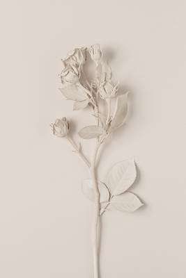 Vooraanzicht van Harmonious rose. De volledige gedrukte compositie is te zien zonder het schuine productaanzicht of de detailopname van het geloppervlak.
