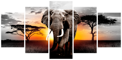 Vooraanzicht van Elephant at sunset. De volledige gedrukte compositie is te zien op 5 canvasdelen met zichtbare tussenruimten.