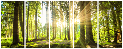 Vooraanzicht van Sunlight. De volledige gedrukte compositie is te zien op 5 canvasdelen met zichtbare tussenruimten.