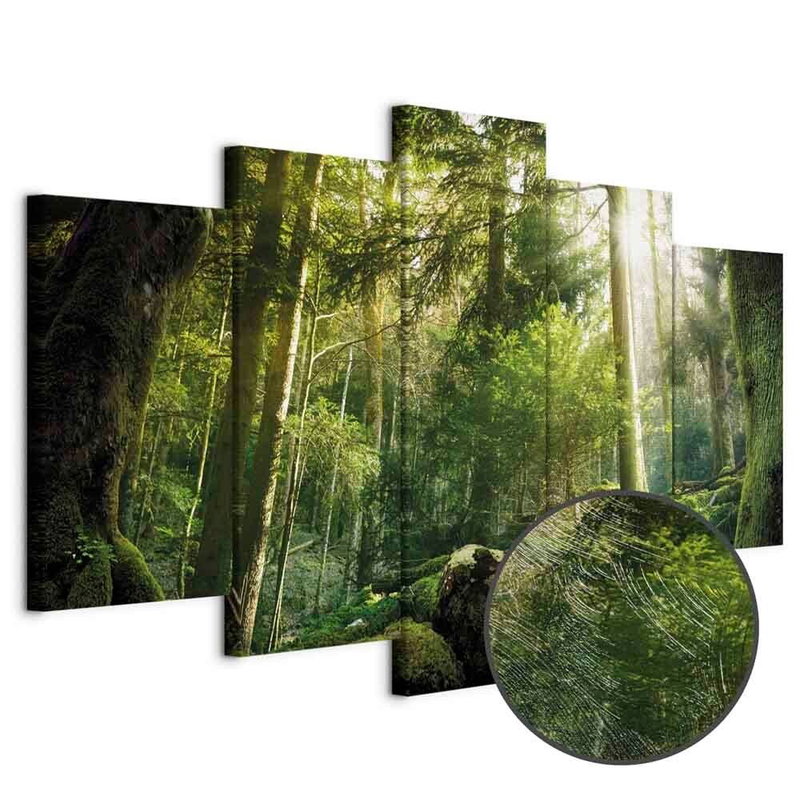Produktvy av The beauty of the forest. En rund detaljförstoring visar den strukturerade gelytan.