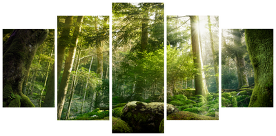 Vooraanzicht van The beauty of the forest. De volledige gedrukte compositie is te zien op 5 canvasdelen met zichtbare tussenruimten.