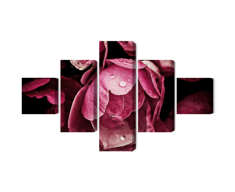 Ljuddämpande tavla - Peony flowers close up 3d