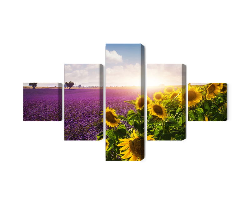 Ljuddämpande tavla - Lavender and sunflower