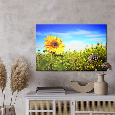 Ljuddämpande tavla - Sunflowers against the blue