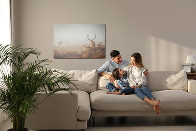 Ljuddämpande tavla - Deer in the fog