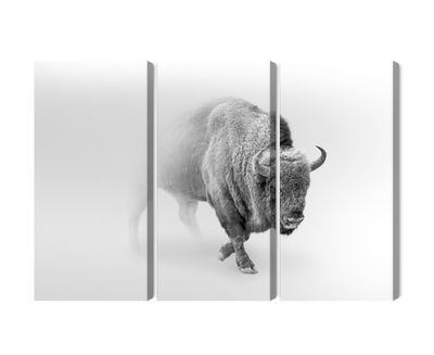 Ljuddämpande tavla - Bison in the fog 3d