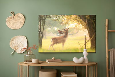 Ljuddämpande tavla - A prominent deer among