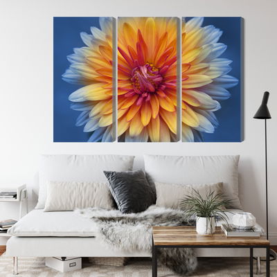 Ljuddämpande tavla - Chrysanthemum flower close